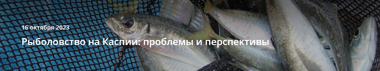 Рыболовство на Каспии: проблемы и перспективы