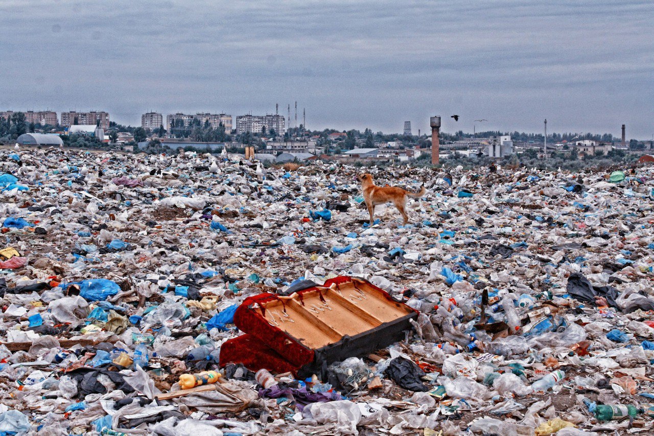 ​​Почти 80% бытового мусора в России до сих пор захоранивается. А доля повторного использования составляет всего 12,7%. В основу расчетов легли открытые данные Минприроды.